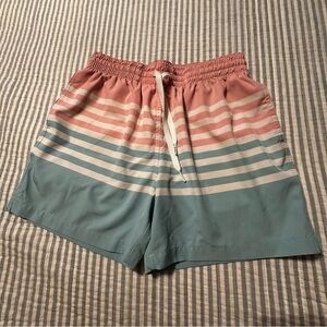 Chubbies Swim Trunks Men Small 5.5” Blue White Horizons Brief Mesh Liner